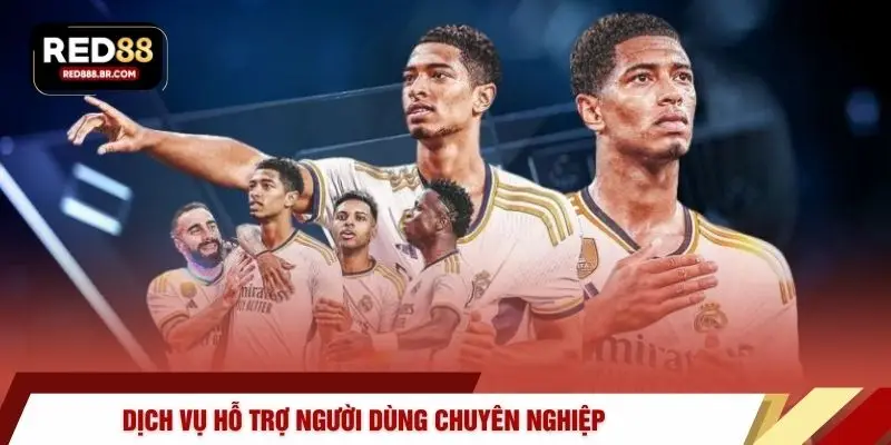 Dịch vụ hỗ trợ người dùng chuyên nghiệp